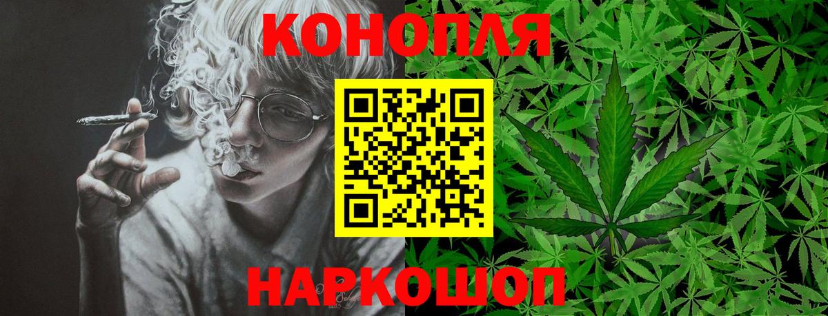 Канабис план Курчатов